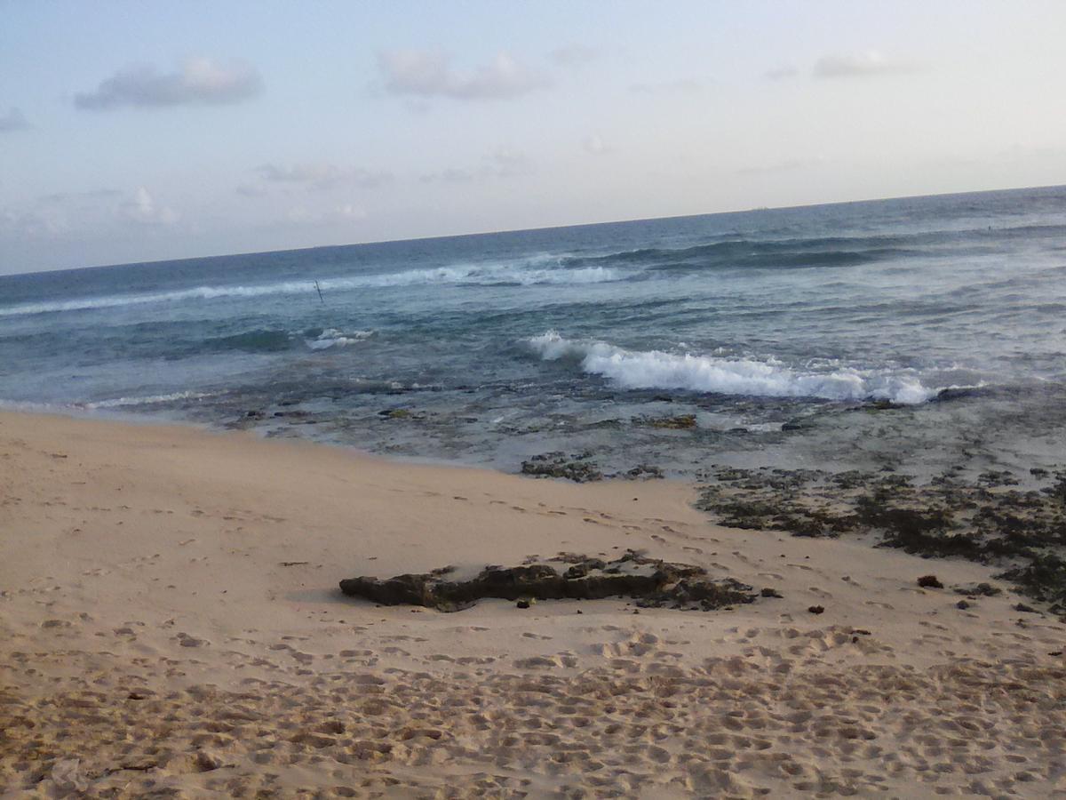 Shantha Surf Villa Weligama Bagian luar foto